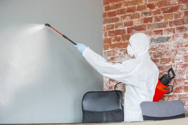 Asbestos and Lead Testing During Mold Inspection in Sierra Madre, CA