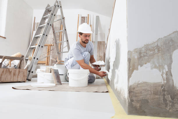 Trusted Sierra Madre, CA Mold Removal Experts